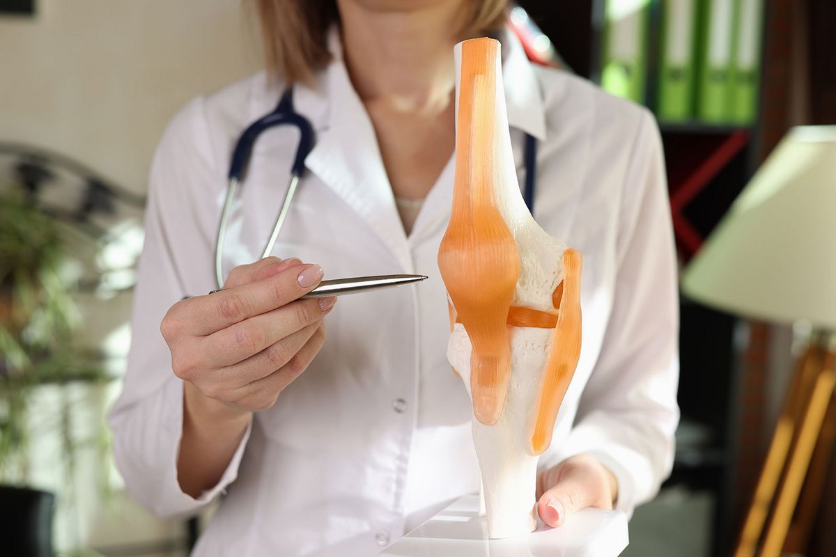 zur Vergrößerungsansicht des Bildes: Medizinerin mit Knie-Modell