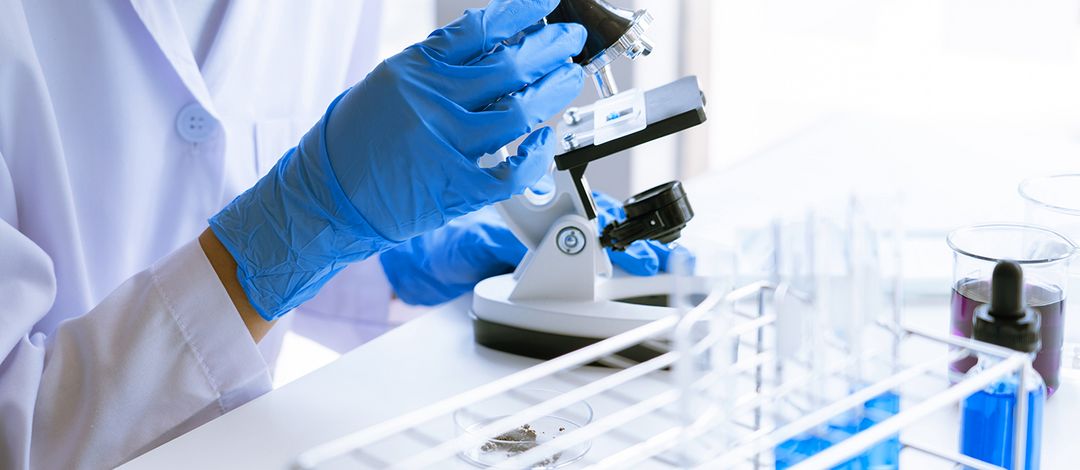  Wissenschaftler am Mikroskop im Labor