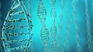 Collage mit DNA Doppelhelix