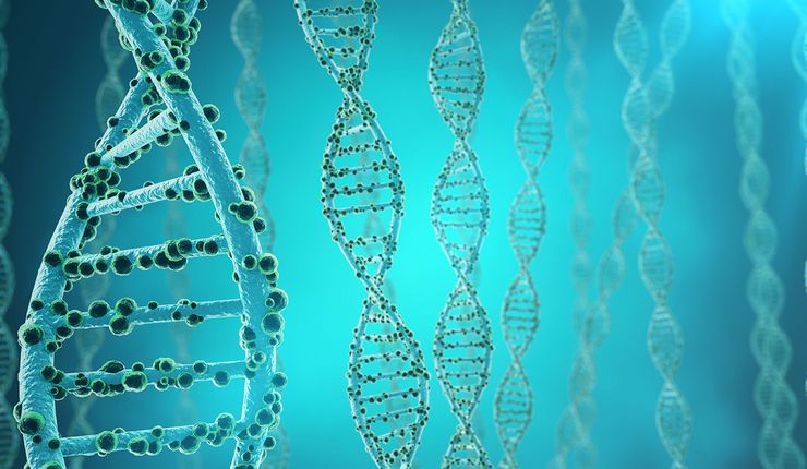 Collage mit DNA Doppelhelix